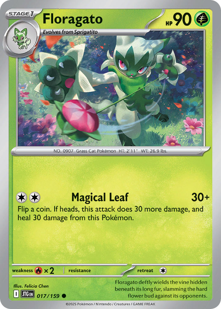 017/159 Floragato