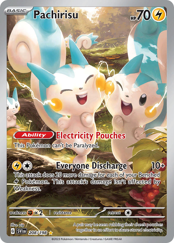 208/198 Pachirisu The card cartel