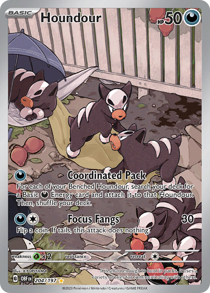 204/197 Houndour The card cartel