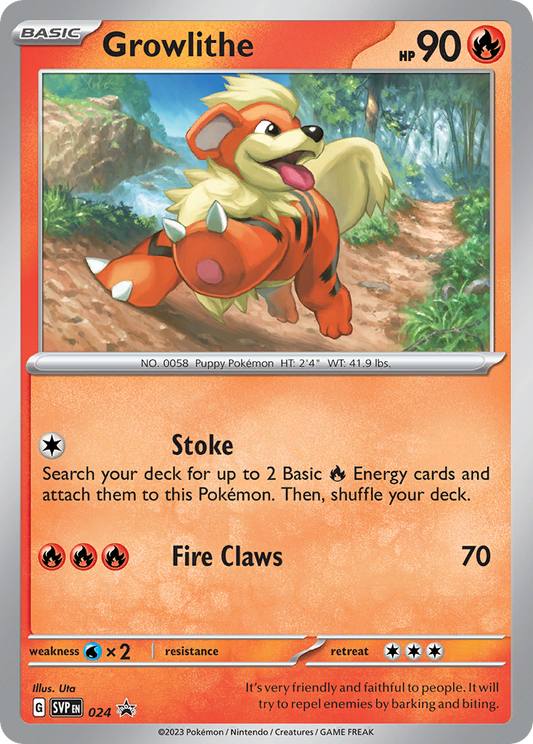 024  Growlithe  Promo The card cartel